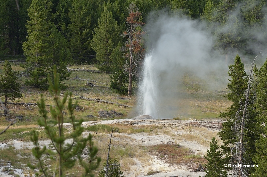 Dilapidated Geyser, Pipeline Meadows Group, Yellowstone