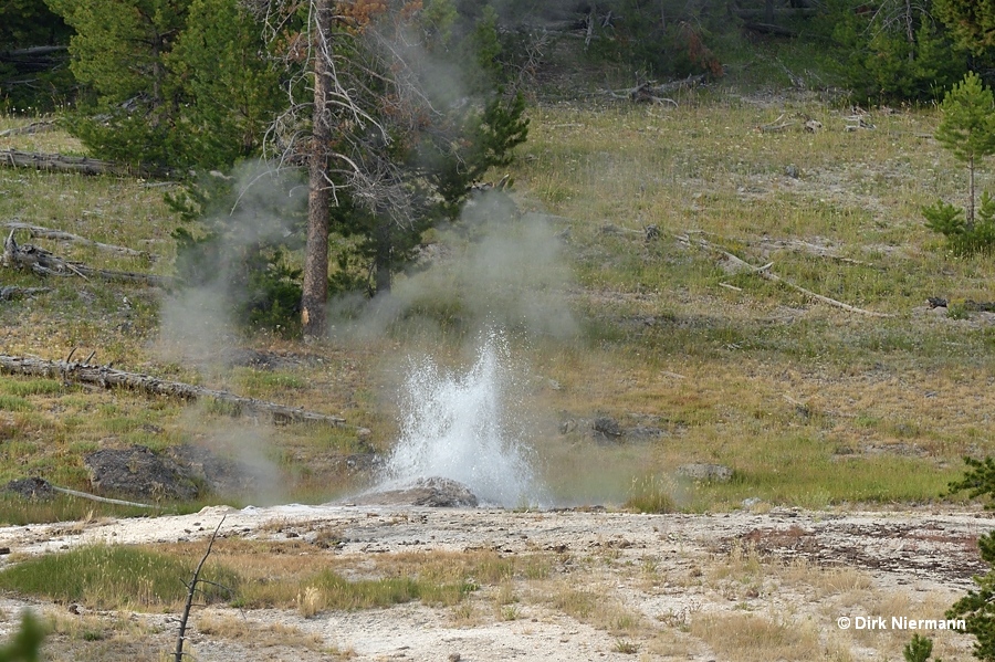 Dilapidated Geyser, Yellowstone