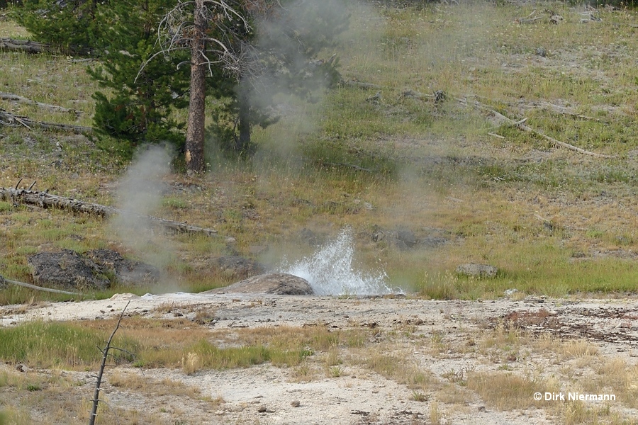 Dilapidated Geyser, Yellowstone