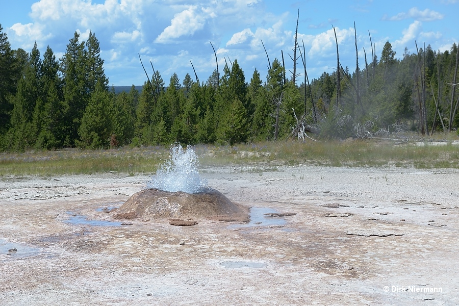 Pink Cone Geyser Yellowstone