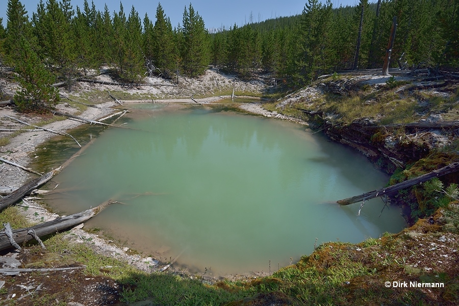 Cream of Broccoli Pool Yellowstone