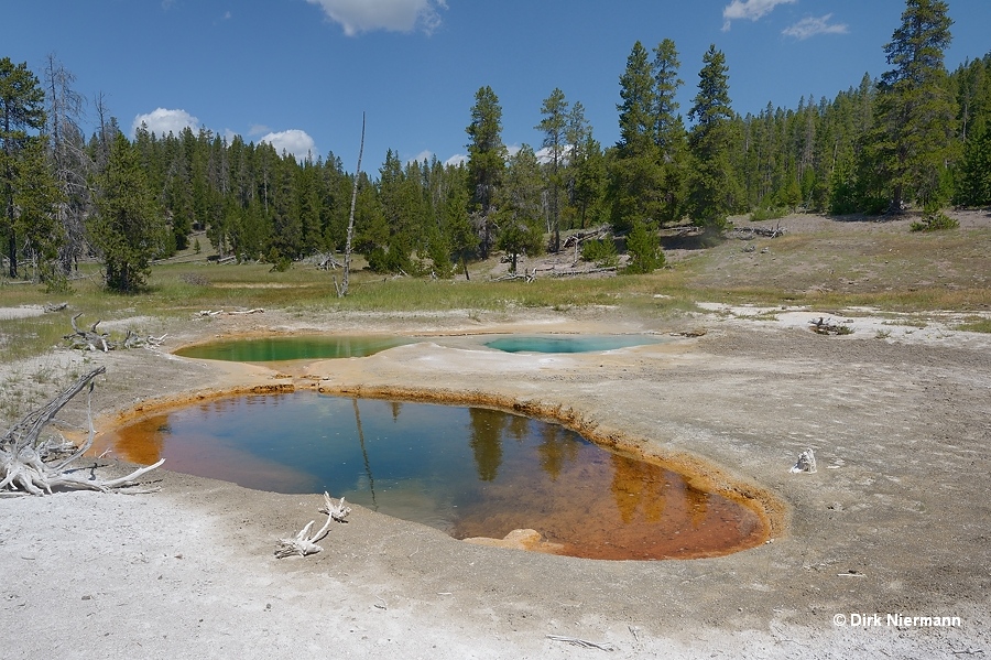 Rabbit Creek hot spring MNN028 Yellowstone