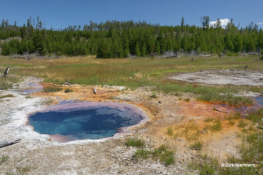 Rabbit Creek hot spring MRCHSGNN142 Yellowstone