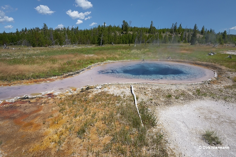 Rabbit Creek hot spring MRCHSGNN146 Yellowstone