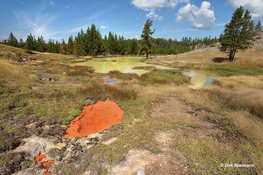 Rabbit Highland hot spring Yellowstone