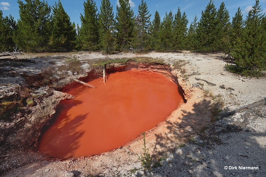 Tomato Soup Pool Yellowstone