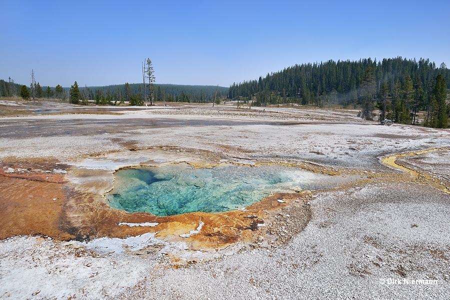 Flake Spring Shoshone Basin Yellowstone