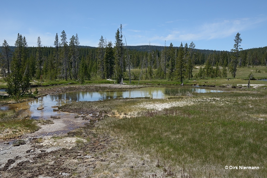 Hot spring SMMGNN001, Shoshone Basin Yellowstone