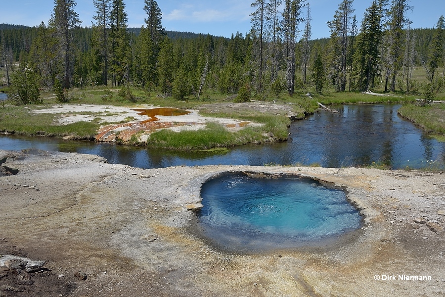 Hot spring SMMGNN014, Shoshone Basin Yellowstone
