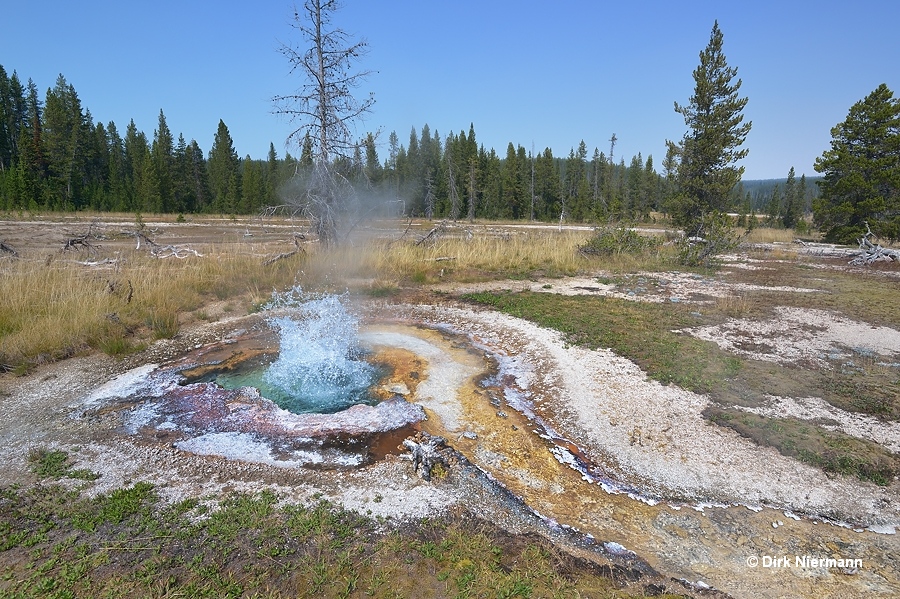 Small Geyser Shoshone Basin