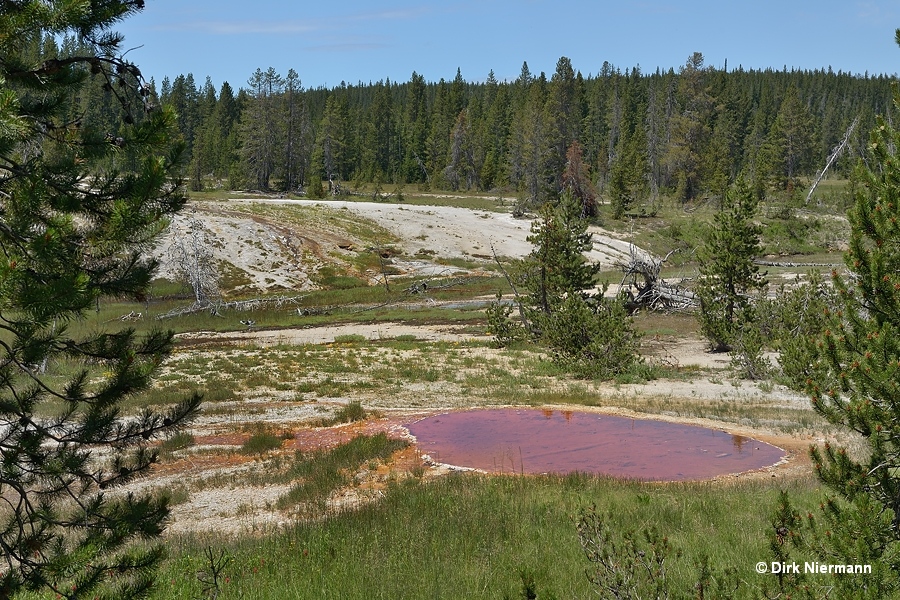 White Crater Spring, Shoshone Basin Yellowstone