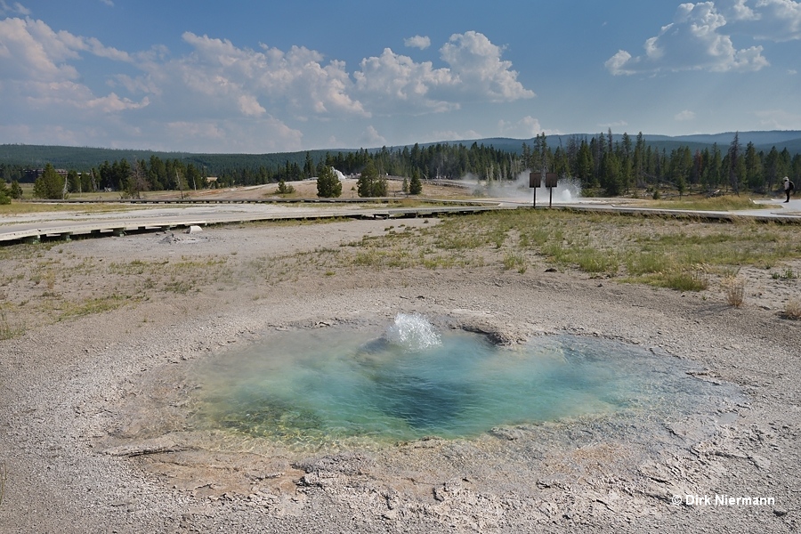 Oval Spring erupting, Yellowstone