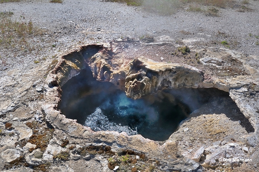 Scalloped Spring Yellowstone