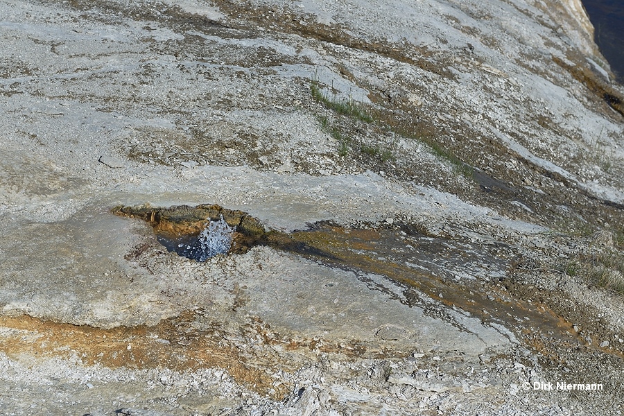 The Rattler Yellowstone