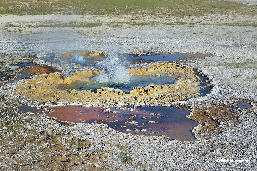 Twilight Spring Yellowstone