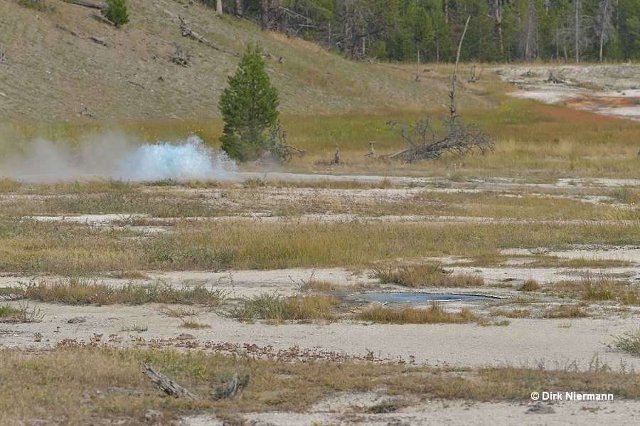 A-1 Geyser Yellowstone