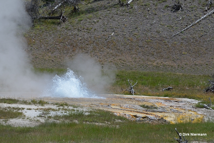 Botryoidal Spring Yellowstone