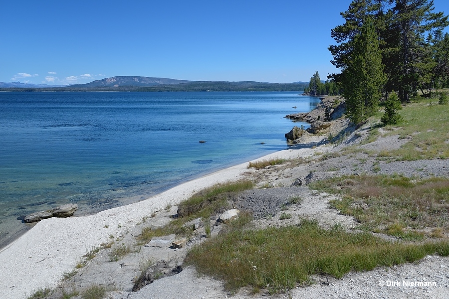 Beach Geyser, Yellowstone