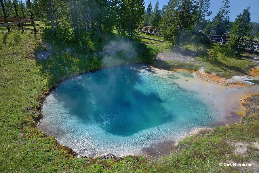 Bluebell Pool Yellowstone