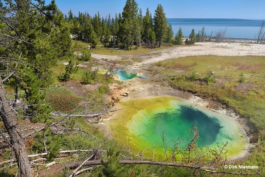 Bluebell Pool and Seismograph Pool, Yellowstone