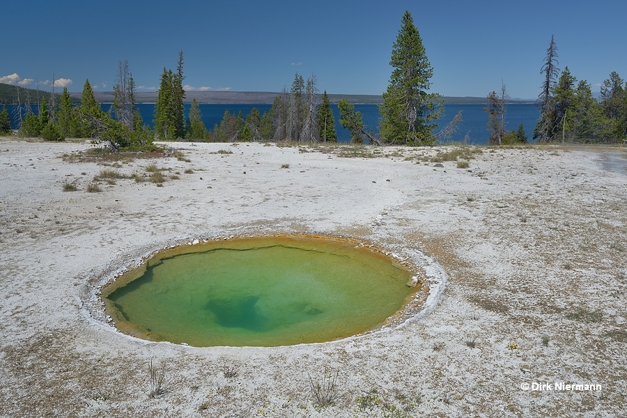 Ephydra Spring Yellowstone