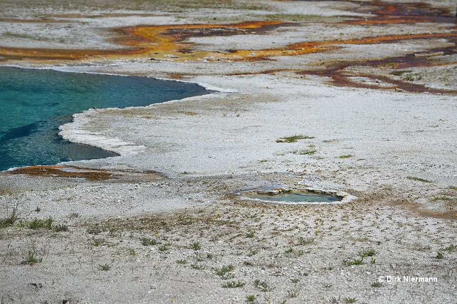 Unnamed spring west of Black Pool West Thumb Basin Yellowstone