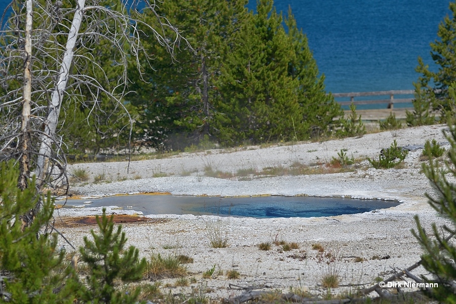 Hillside Geyser West Thumb Basin Yellowstone