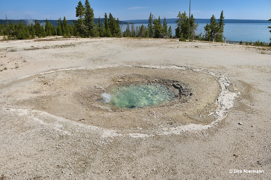 Percolating Spring Yellowstone