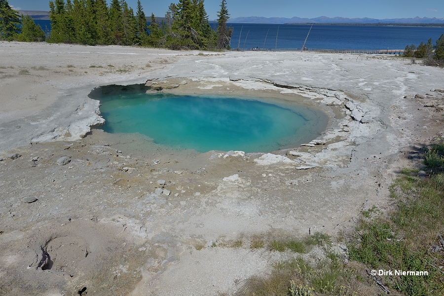 Surging Spring Yellowstone