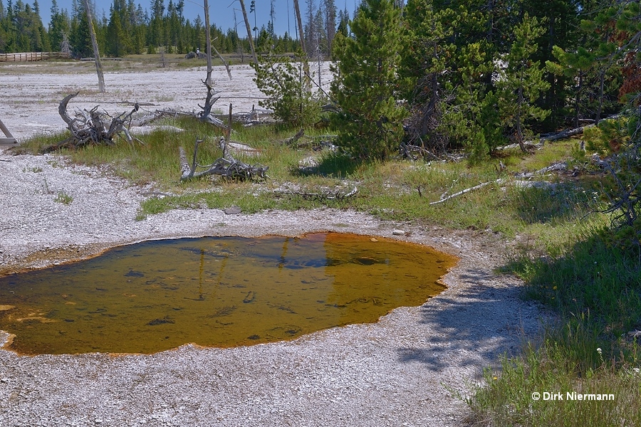Vandalized Pool Yellowstone