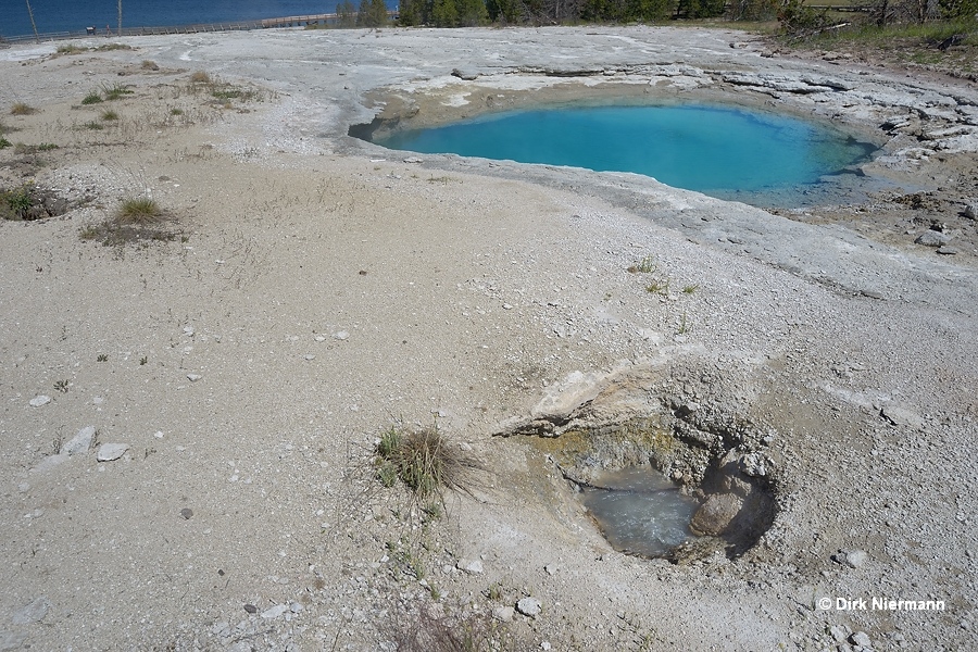 WTLGNN078 west of Surging Spring Yellowstone