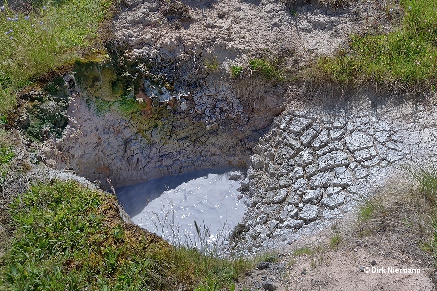Mud Pot WTLGNN085 West Thumb Basin Yellowstone