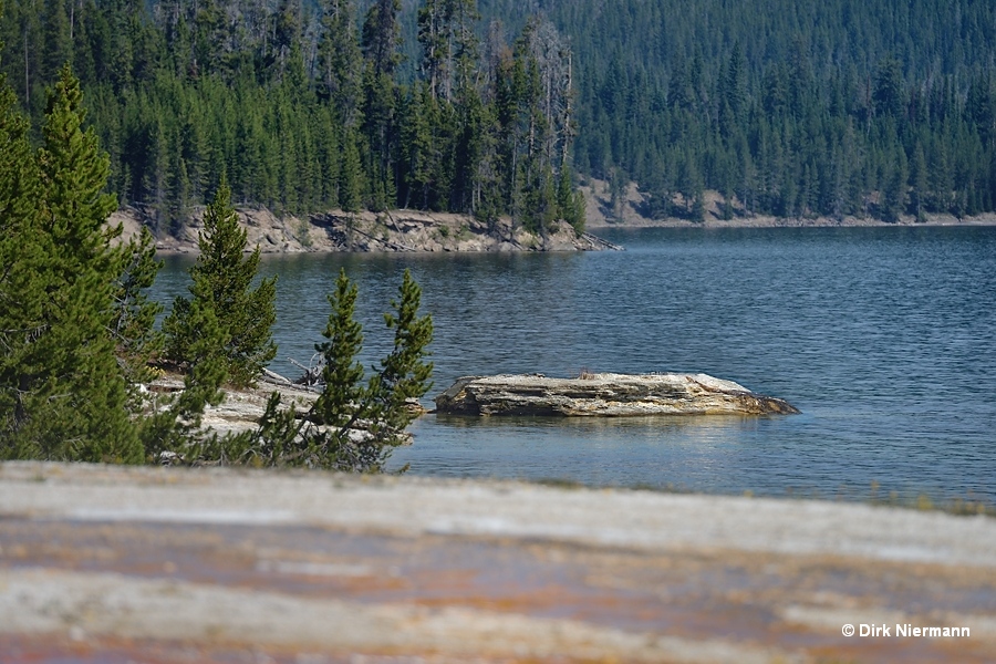 Mantrap Cone Yellowstone